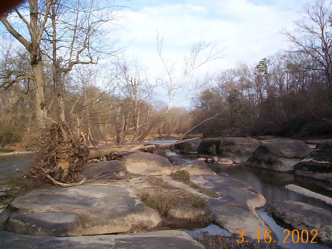 ./2002/Neuse River Rogers South/DCP01334.JPG
